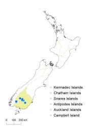 Veronica dilatata distribution map based on databased records at AK, CHR & WELT.
 Image: K.Boardman © Landcare Research 2022 CC-BY 4.0